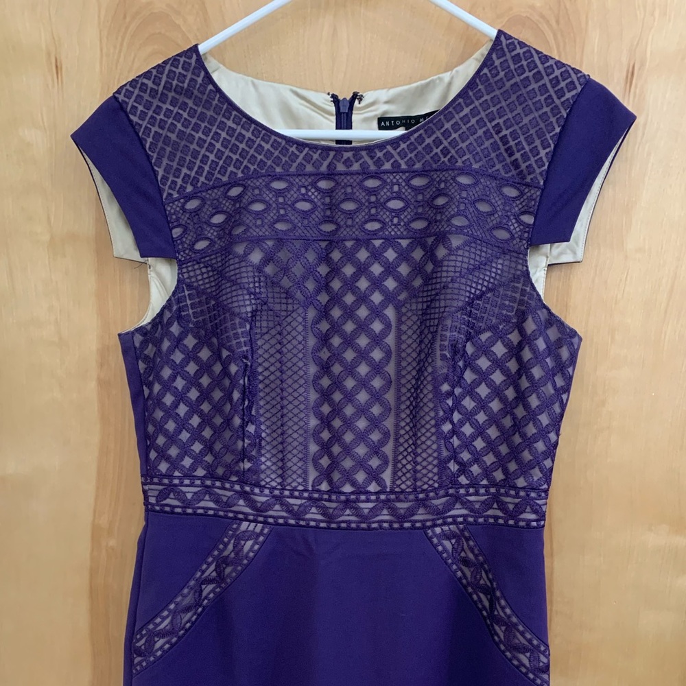 Beautiful Antonio Melani business dress